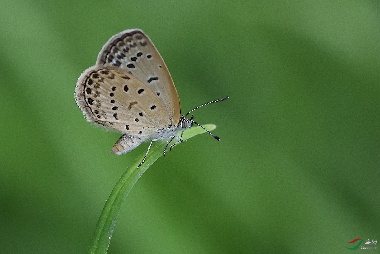 DSC_6391_00001.jpg