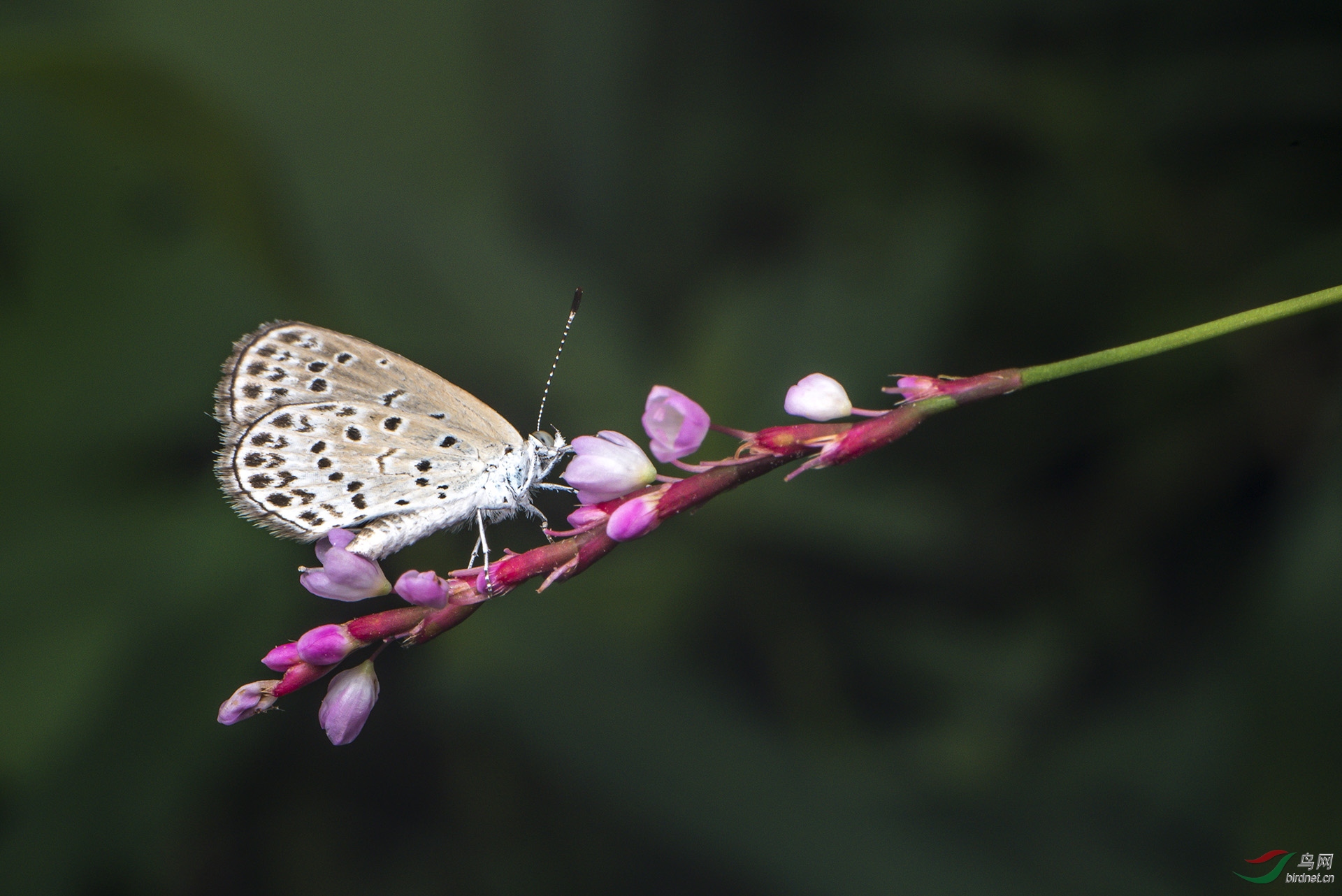 DSC_8170.jpg