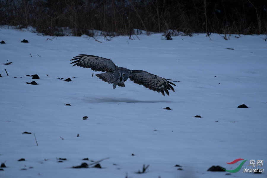 DSC02578.jpg