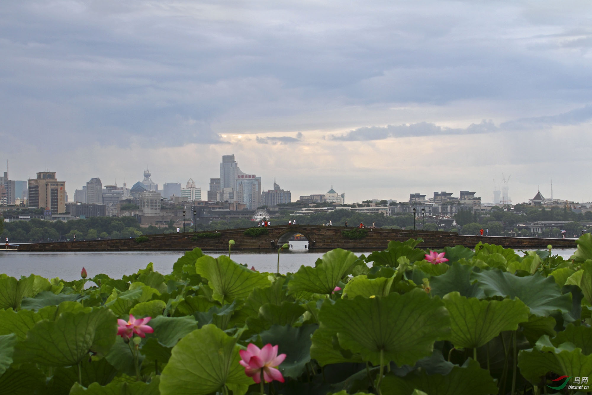 久雨初霁之杭州西湖清晨