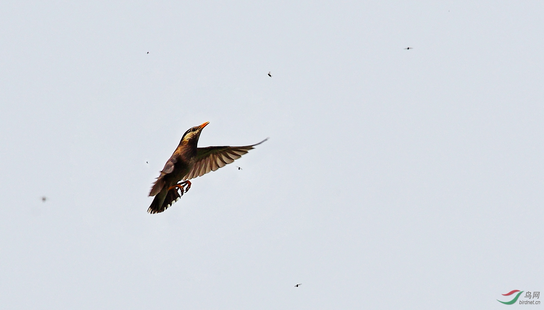 DSC_0658_����.jpg