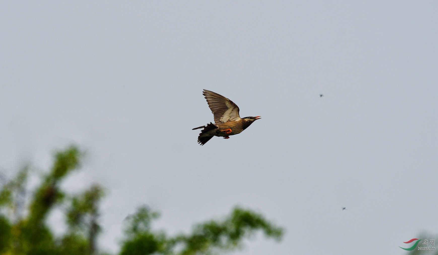 DSC_0696_����.jpg