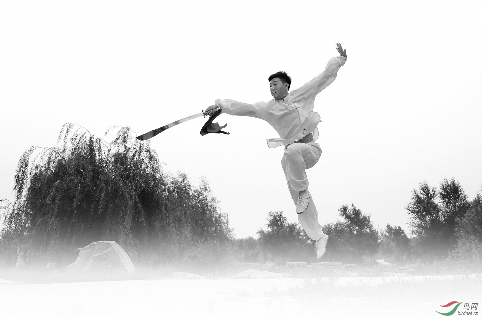 [人物] 功夫高手------祝贺老师佳作荣获黑白影像首页精华!