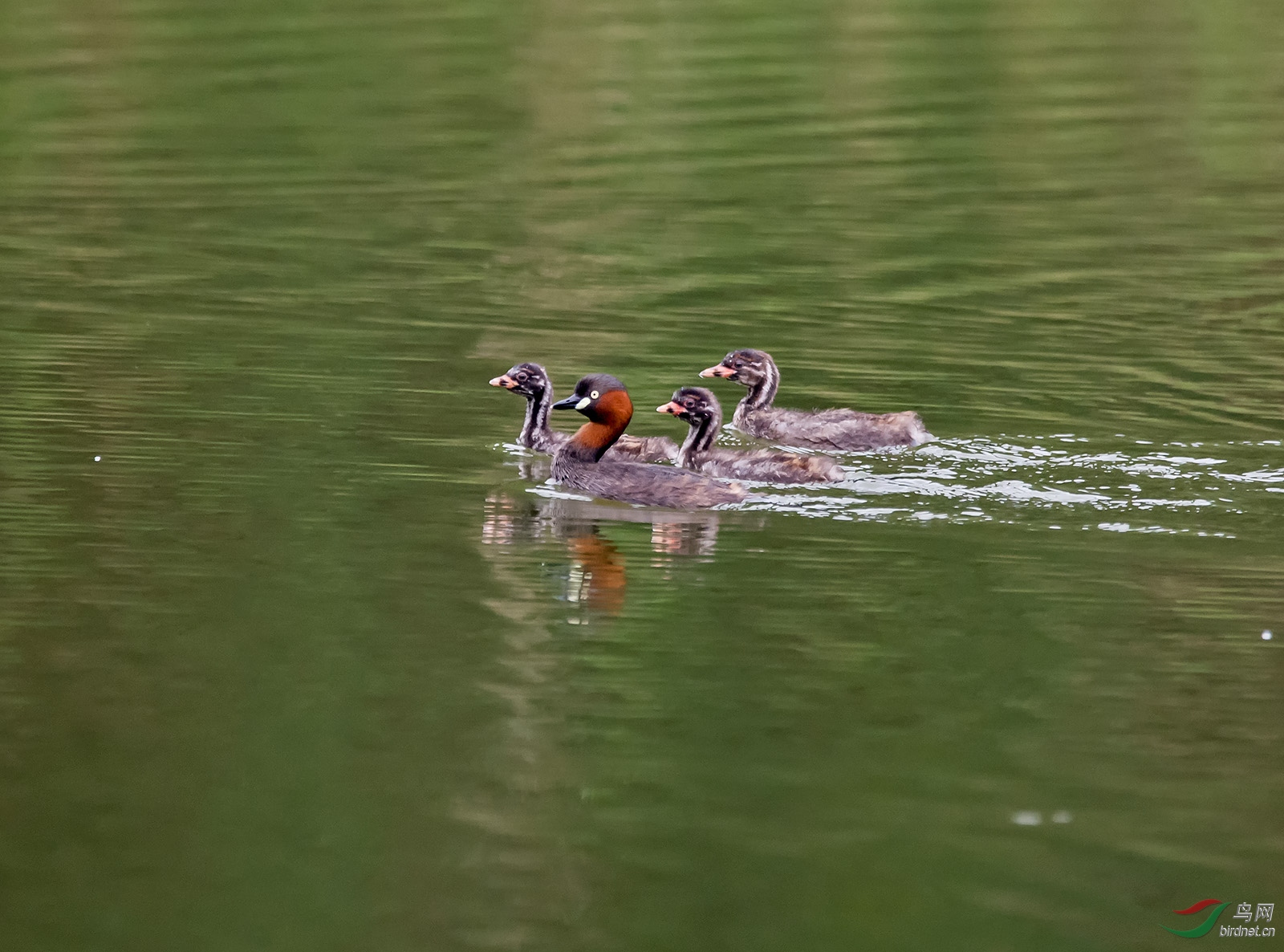 DSC_9028.jpg