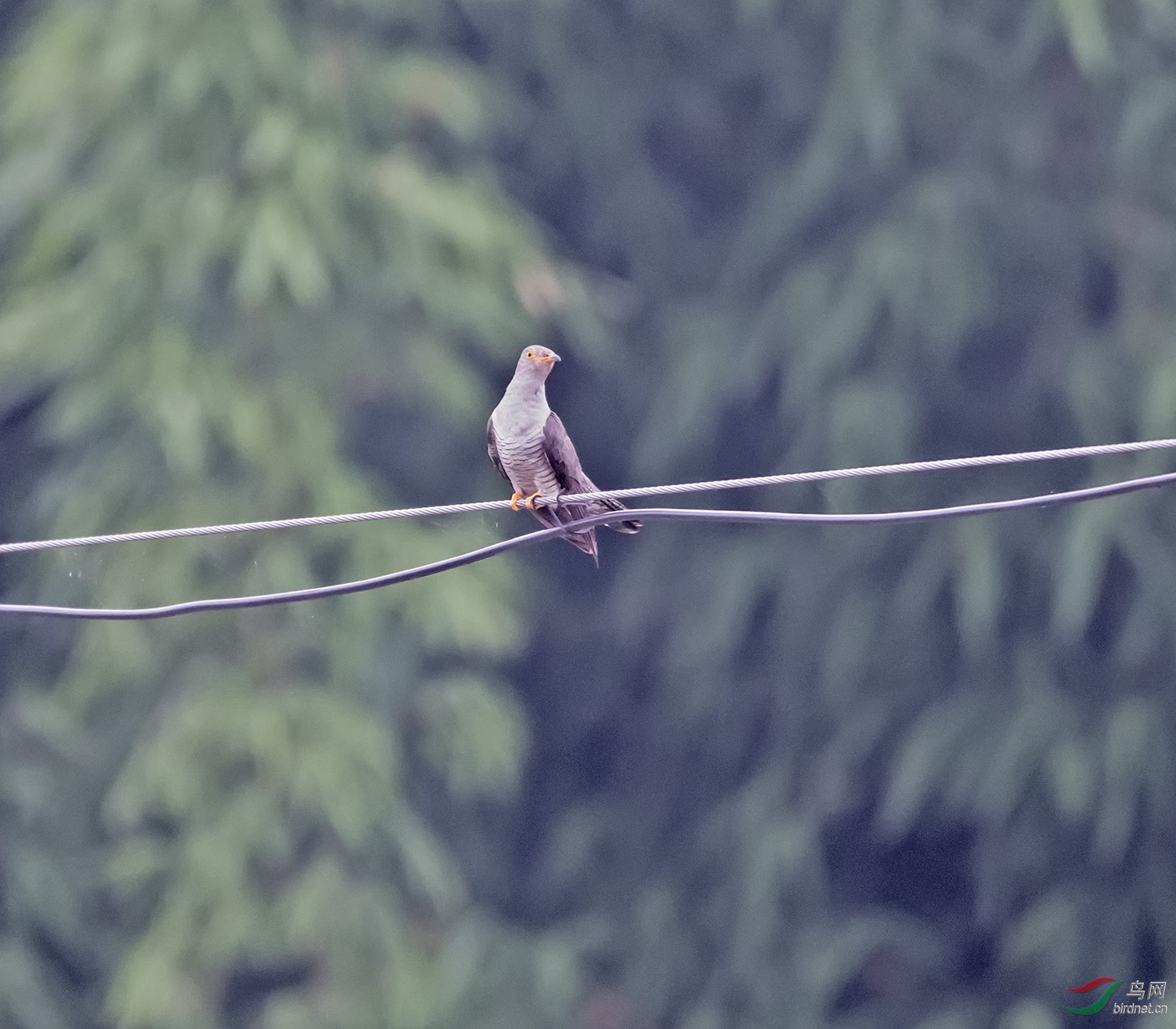 DSC_8890.jpg