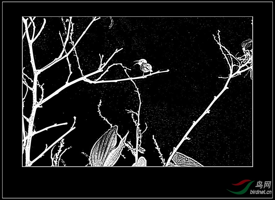 AQ1I0555_����_����2_����2_����1_����1_����1_����1_����.jpg