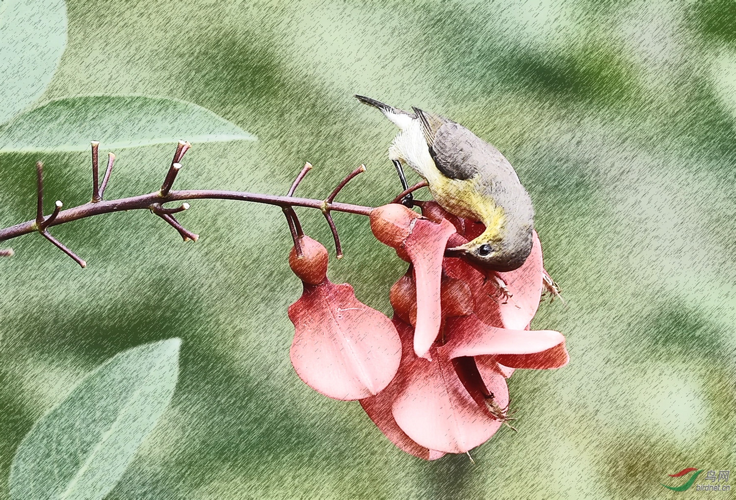DSC_9663_����_����.jpg