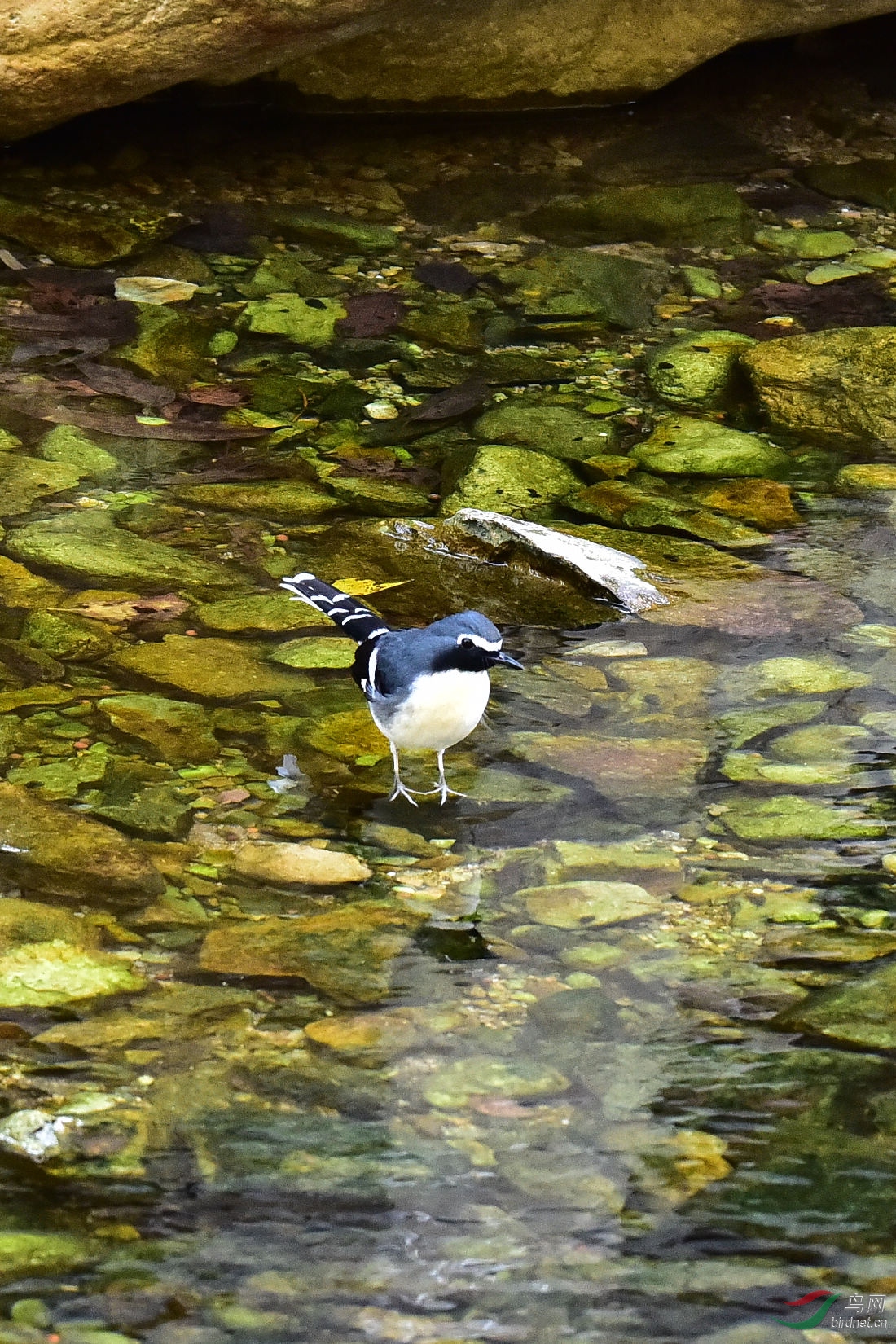 DSC_0536.JPG