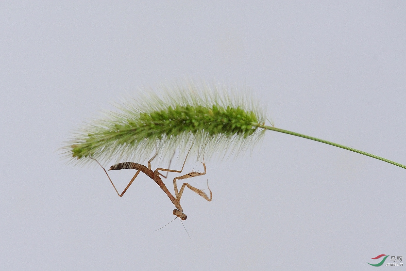 DSC_0347_00007.jpg