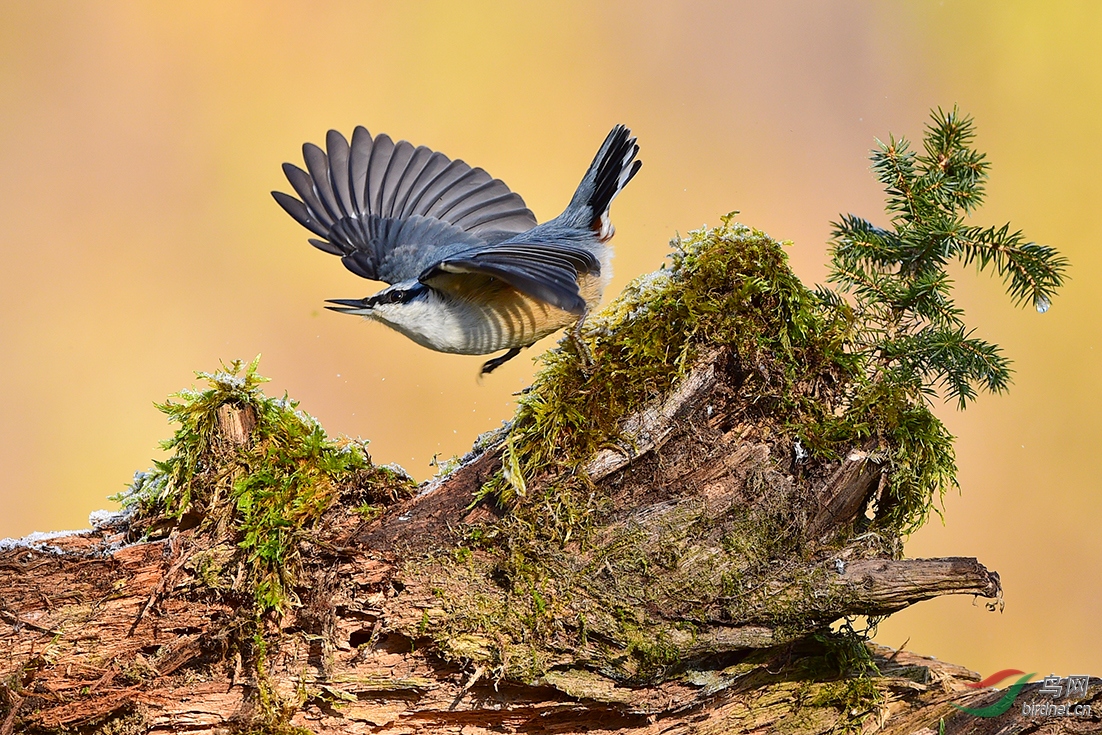 DSC_8215-2.jpg