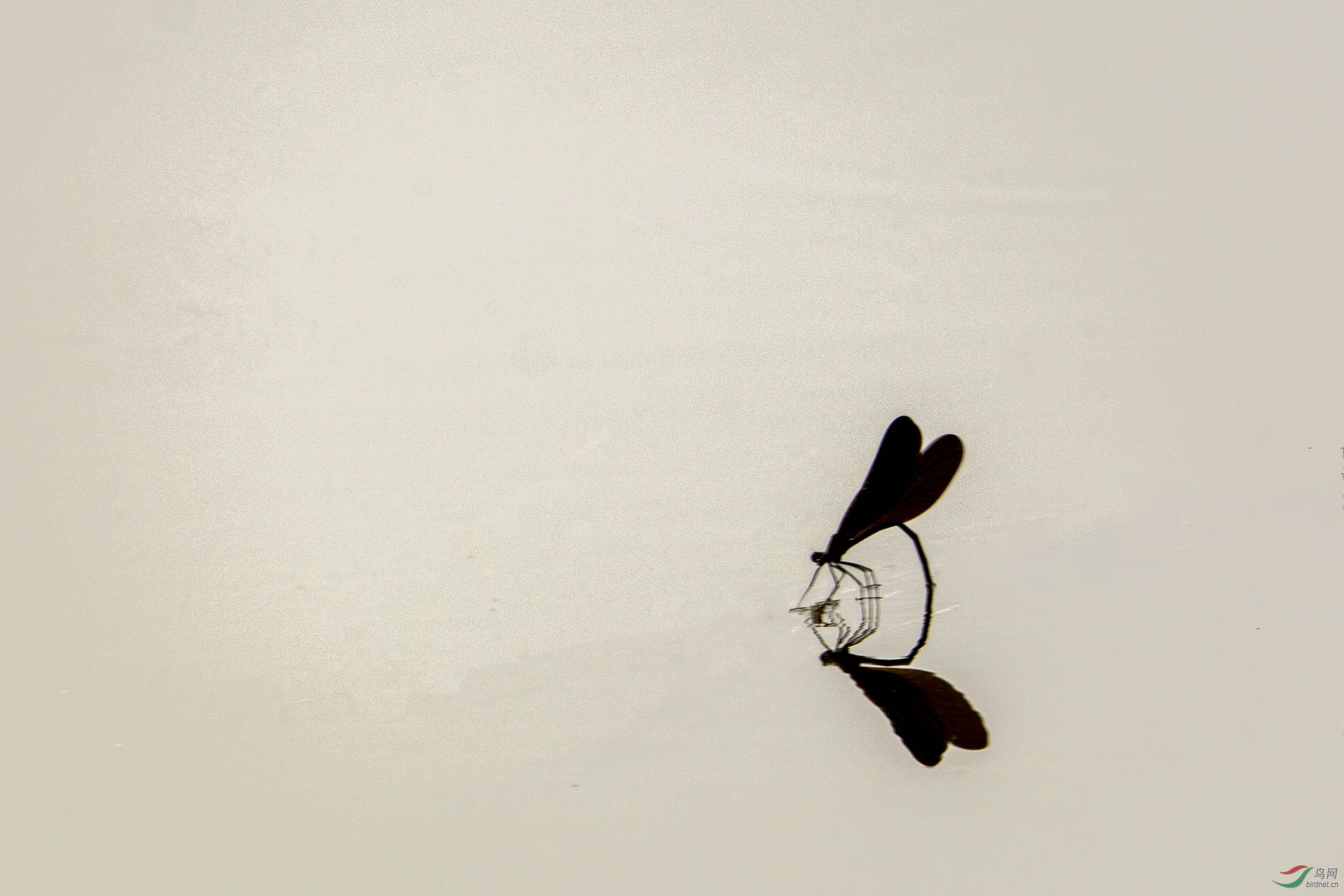 ����ˮ��������2