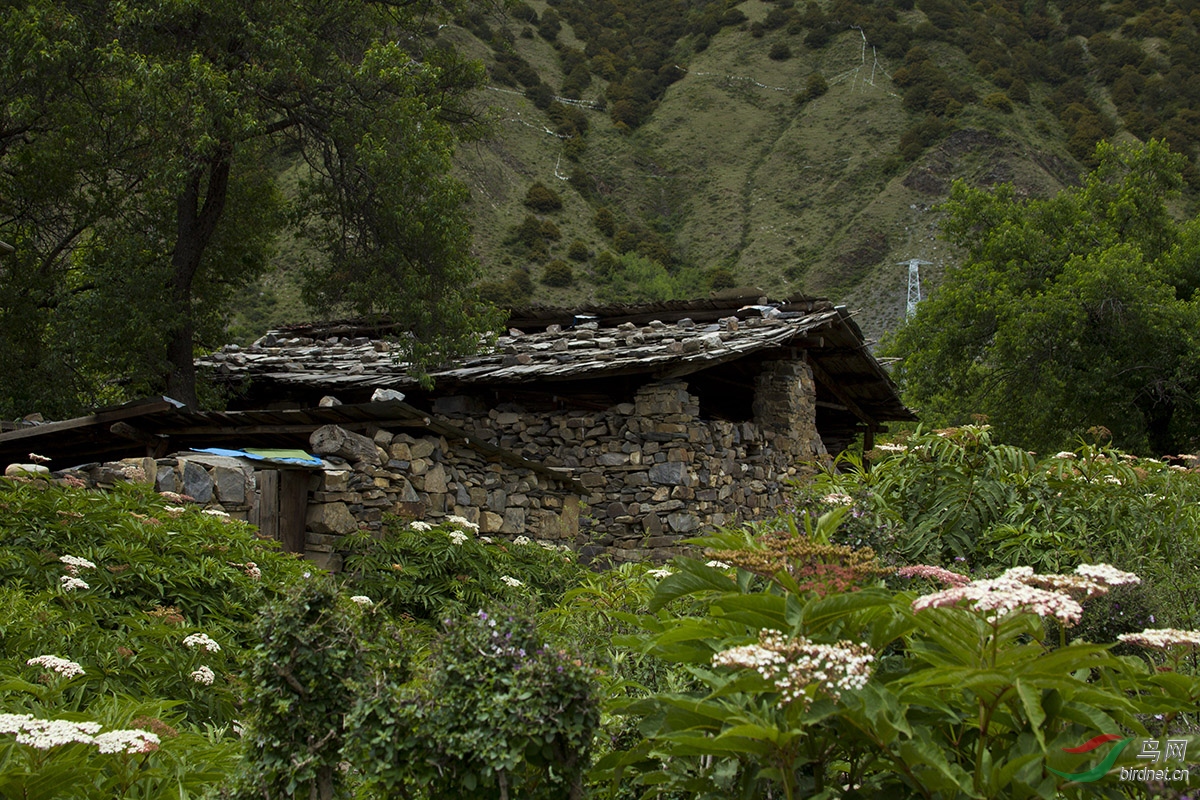 西藏行-格萨尔城堡遗址