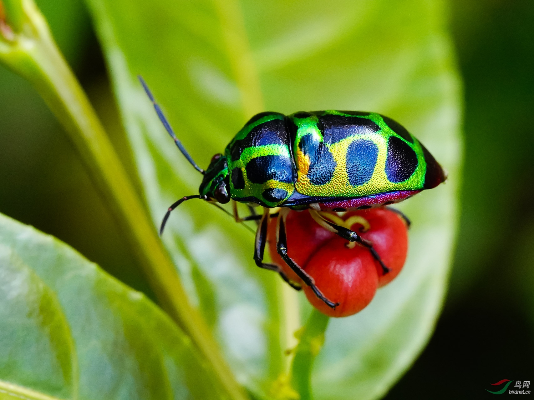ZQL02826.jpg
