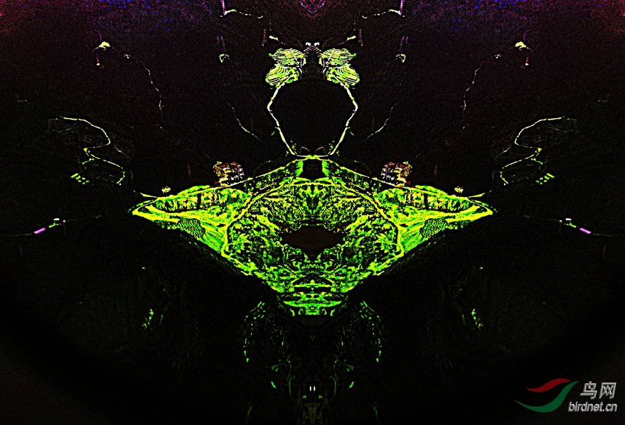 AQ1I8095_����_����2_����2_����.jpg