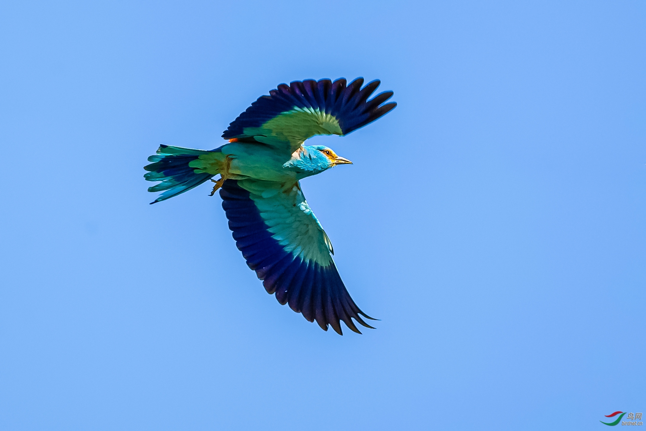 ��ˮ��ʿ��ʦ�������½�ά��������� ����̩����.jpg