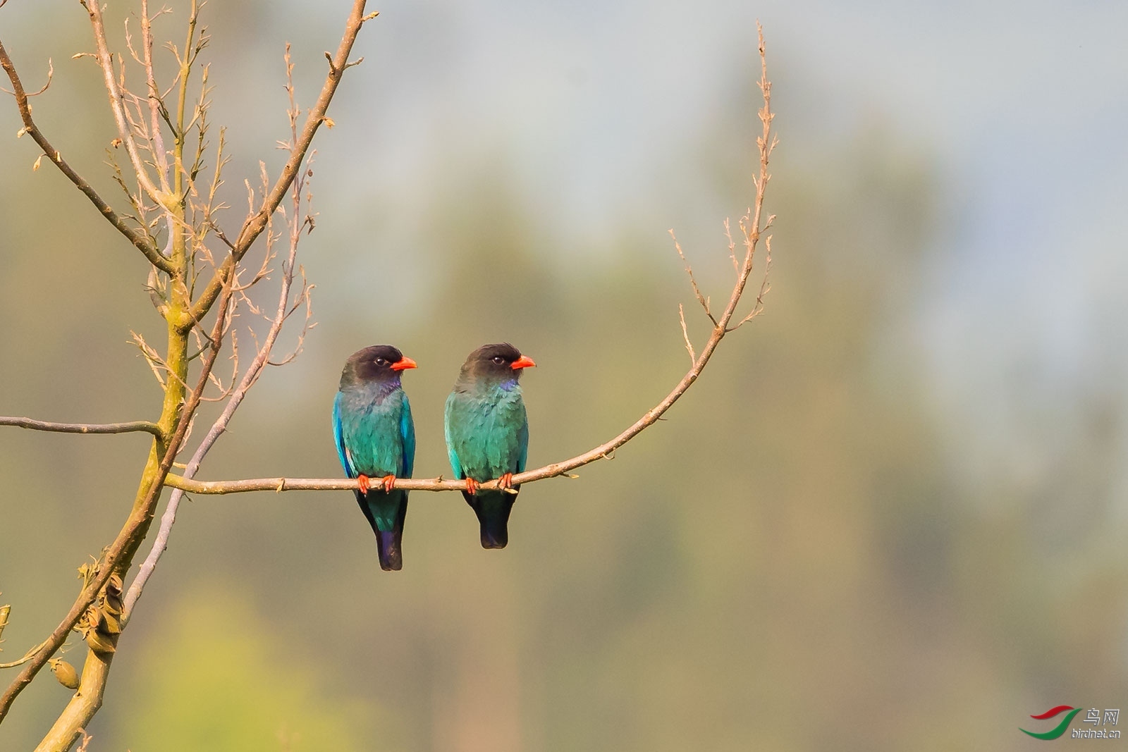 κΡ���� ��ʦ����������ʡ������ ����.jpg