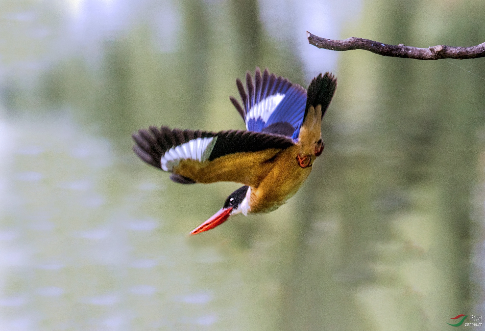 5E9A9363 - ���� - ����.jpg