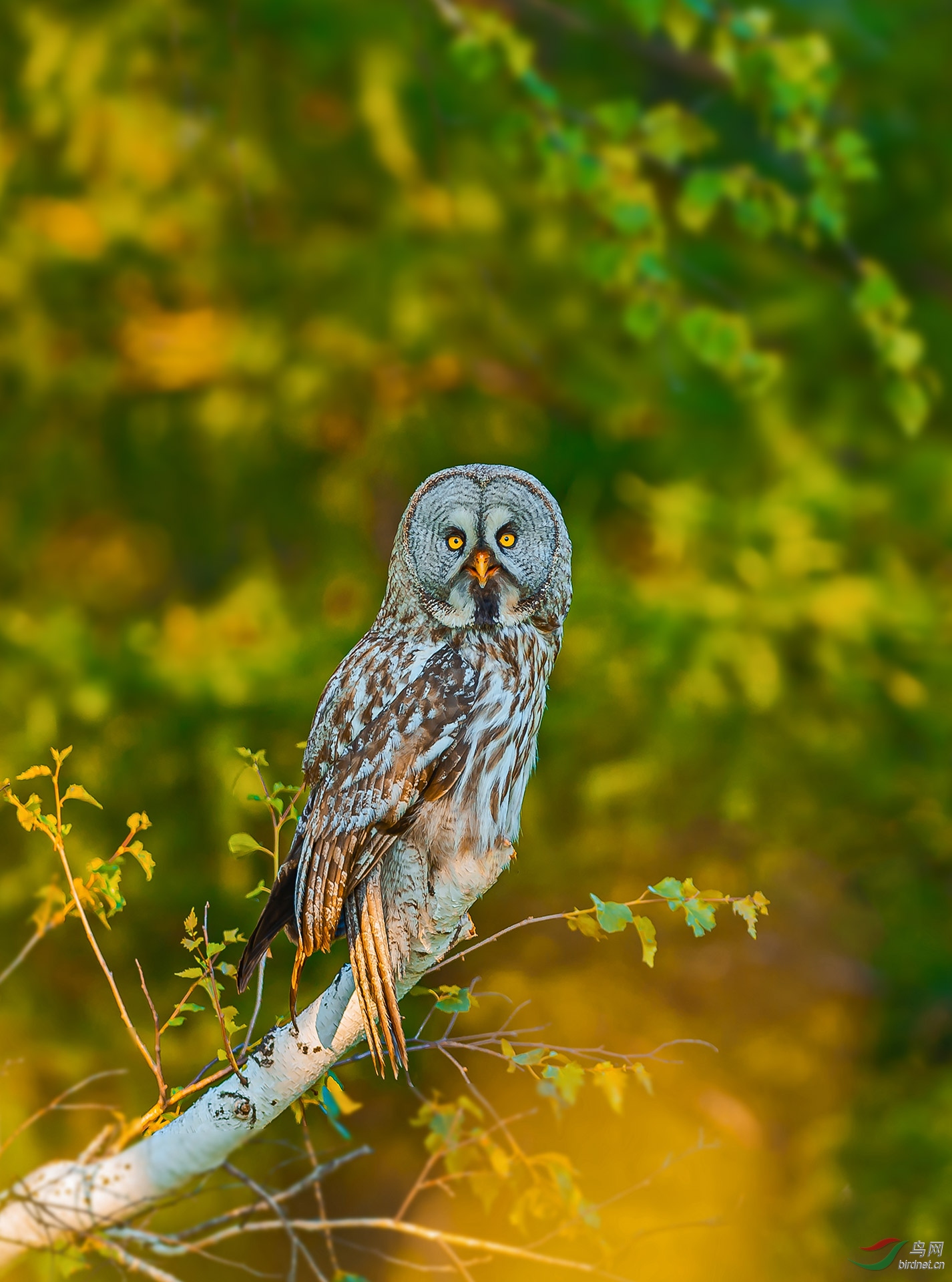 DSC_1214.jpg