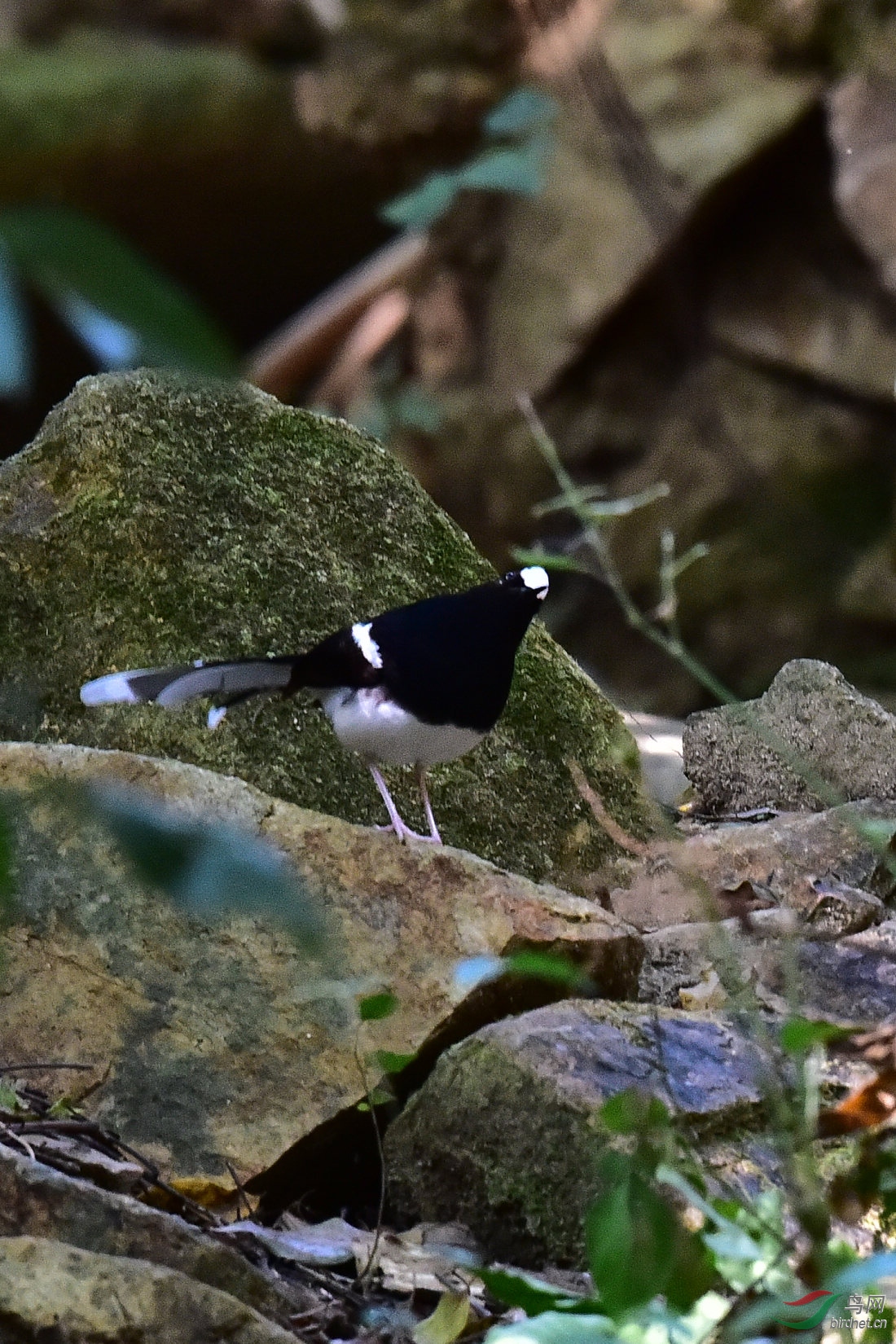 DSC_0561.JPG