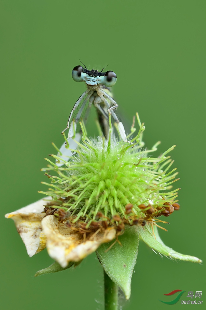 _DSC4512r1415.jpg