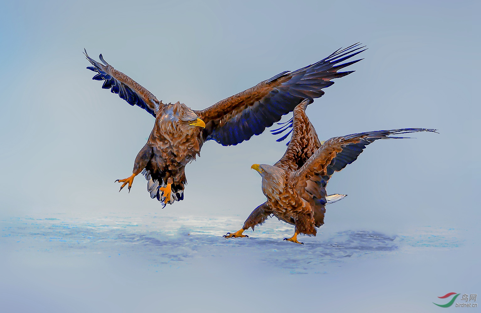 DSC_2753_����_���� (2)_����_����.jpg