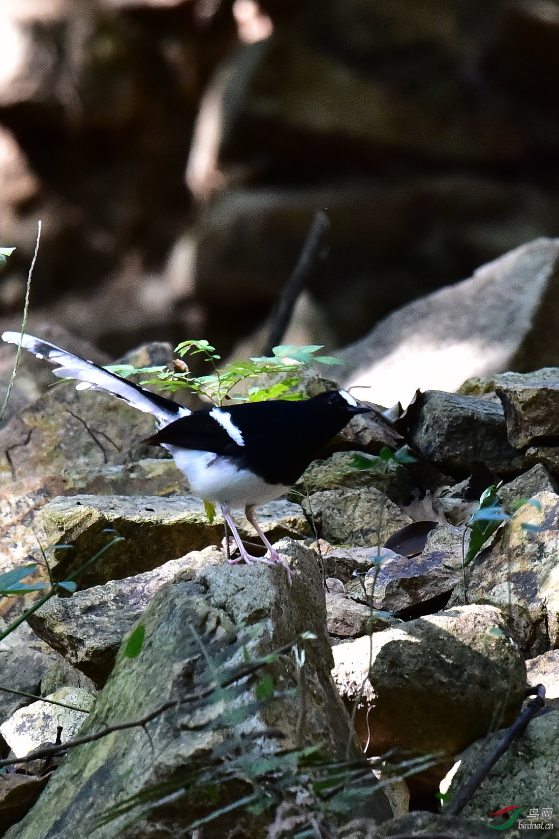 DSC_0566.JPG