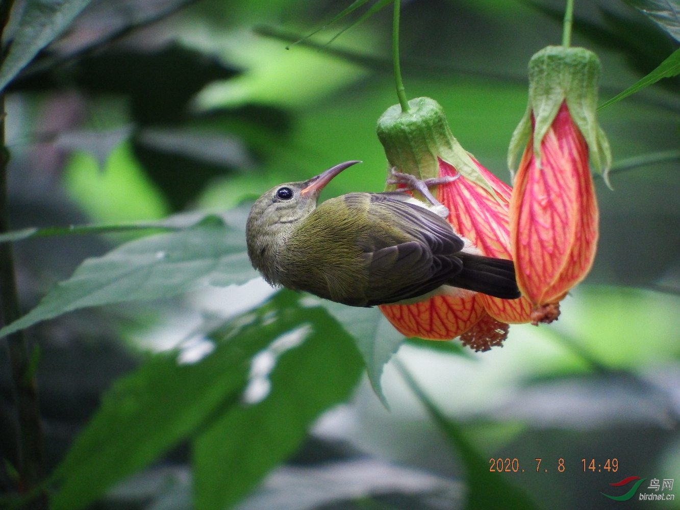 DSCF0173.jpg