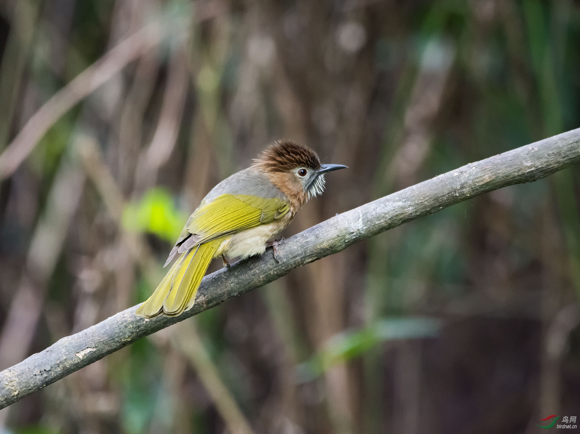 DSC_1563.jpg