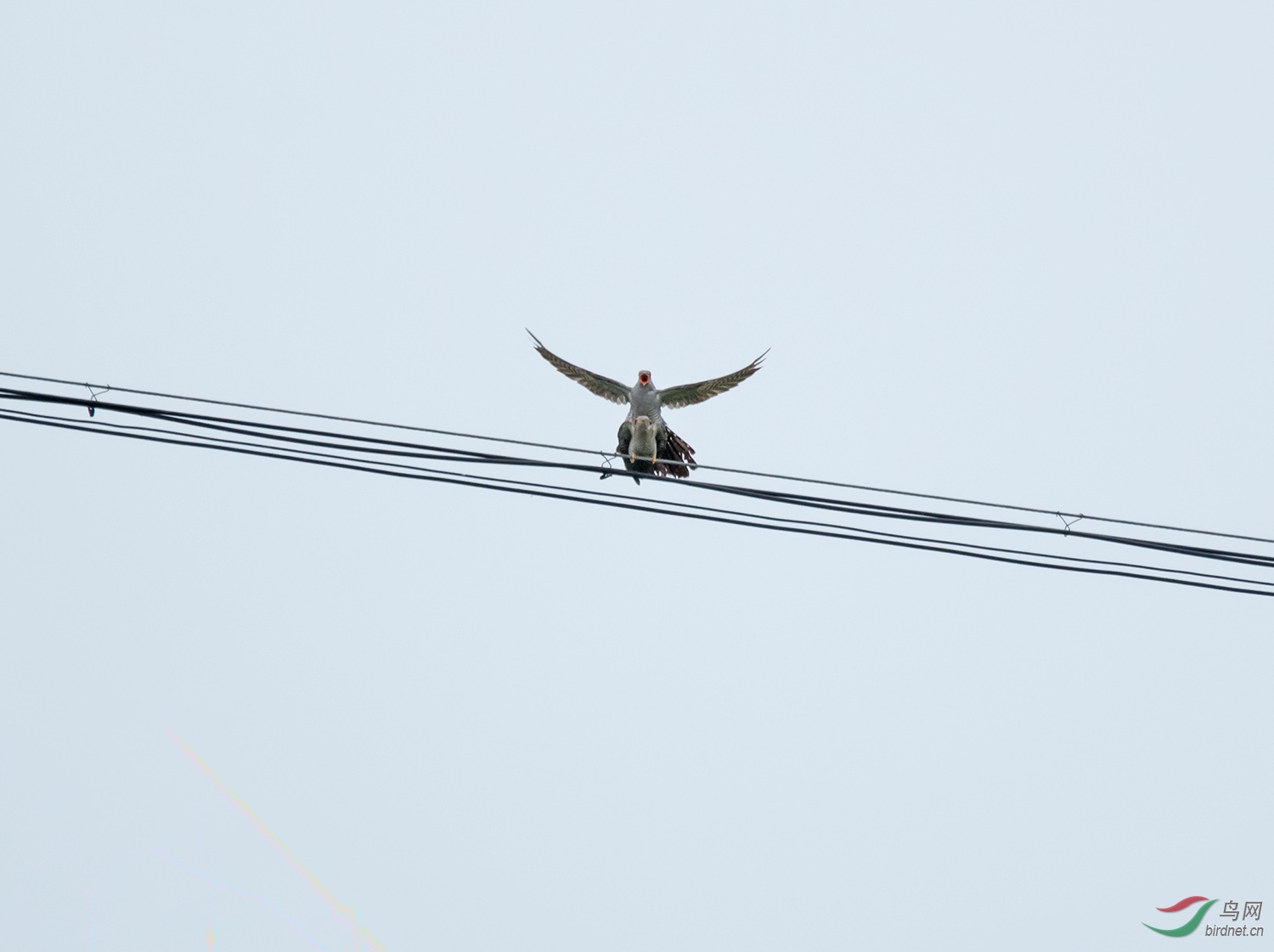 100������