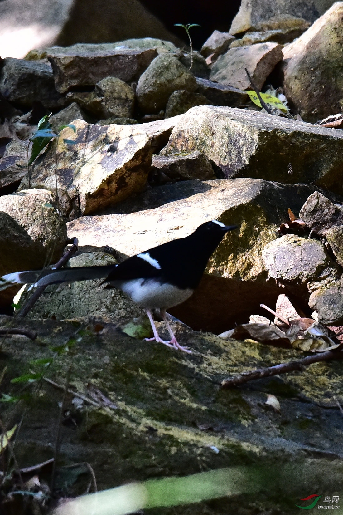 DSC_0568.JPG