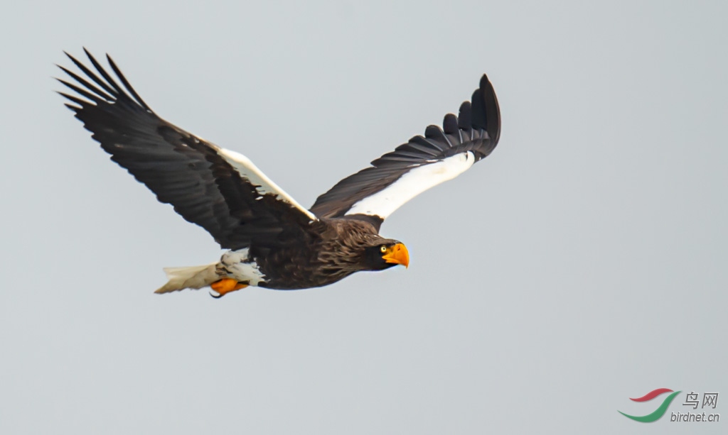 DSC_7762-0.jpg