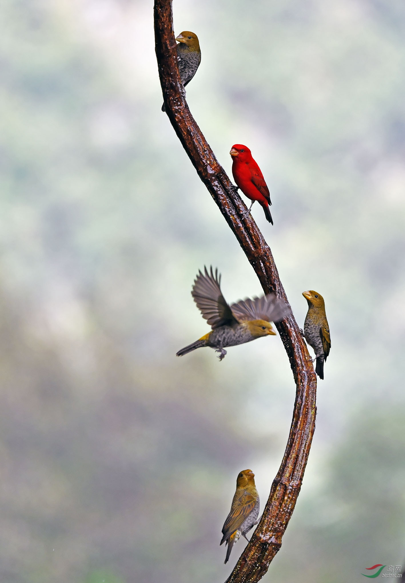 DSC_3238.jpg