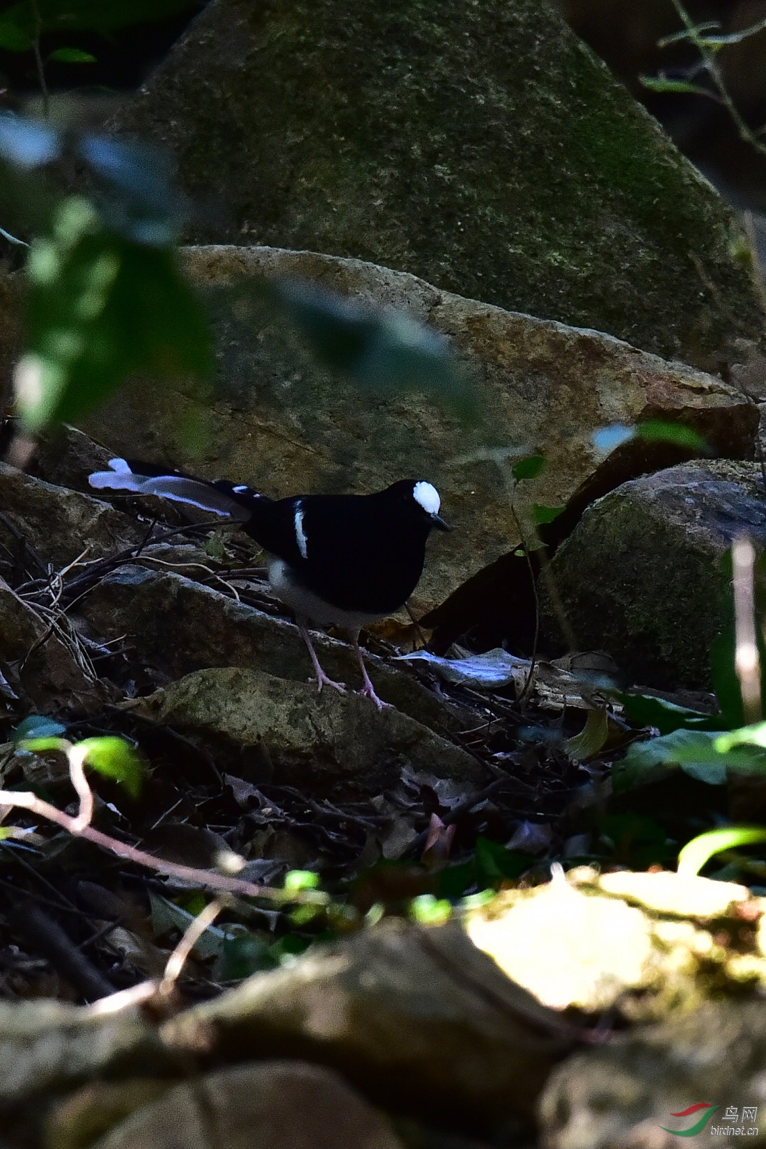 DSC_0571.JPG