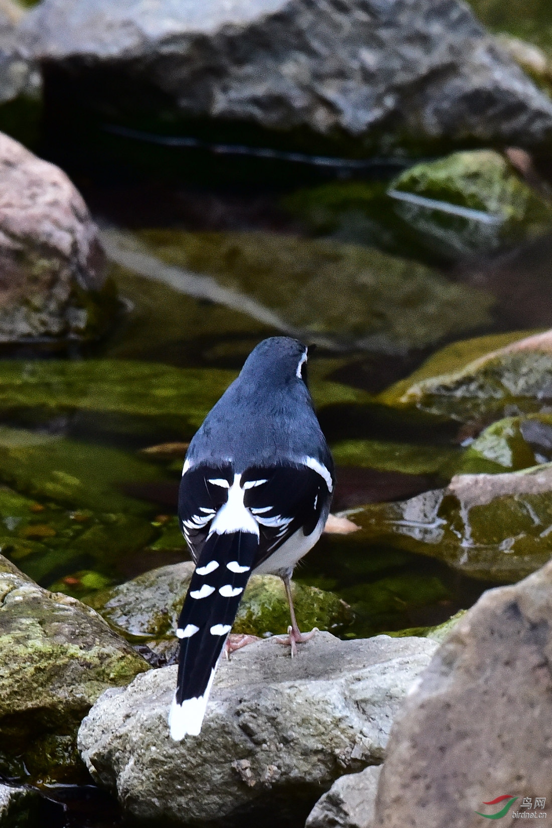 DSC_0576.JPG