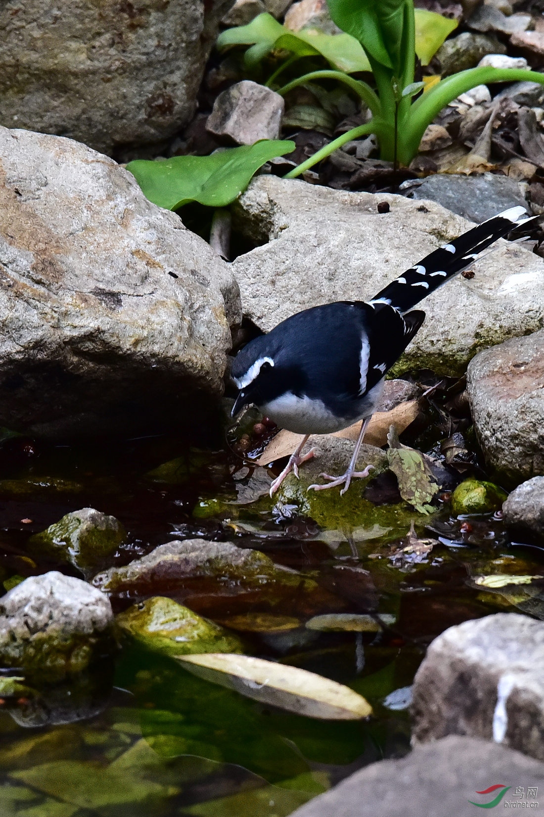 DSC_0578.JPG