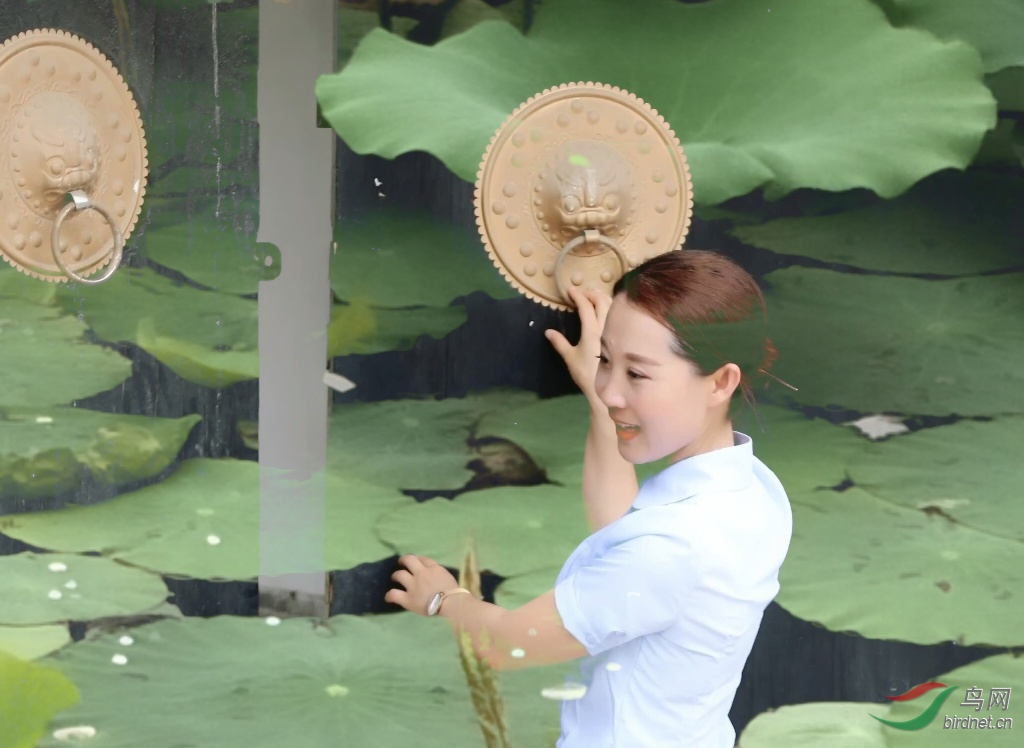 �ɻ�����