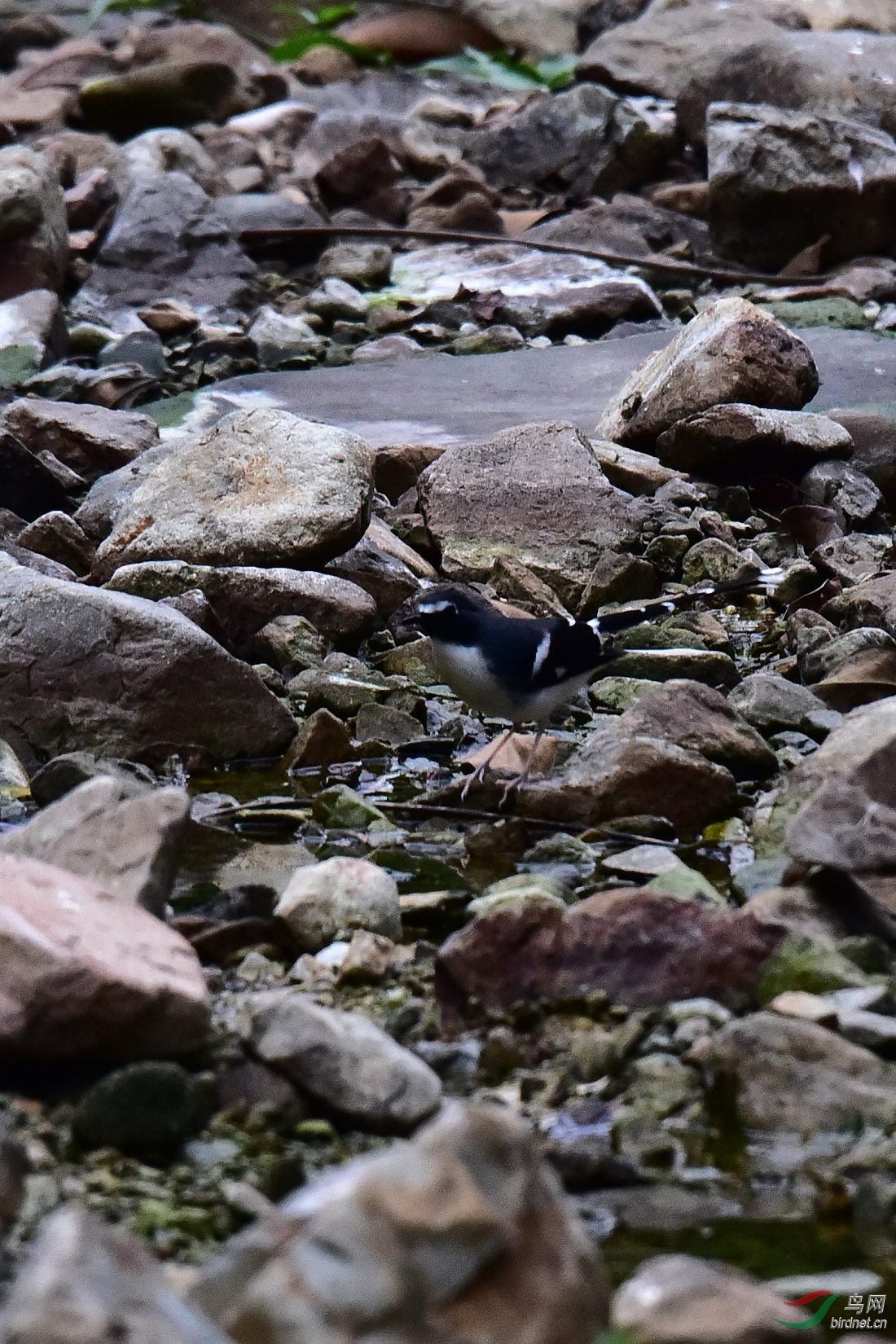 DSC_0582.JPG
