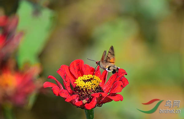 72.jpg