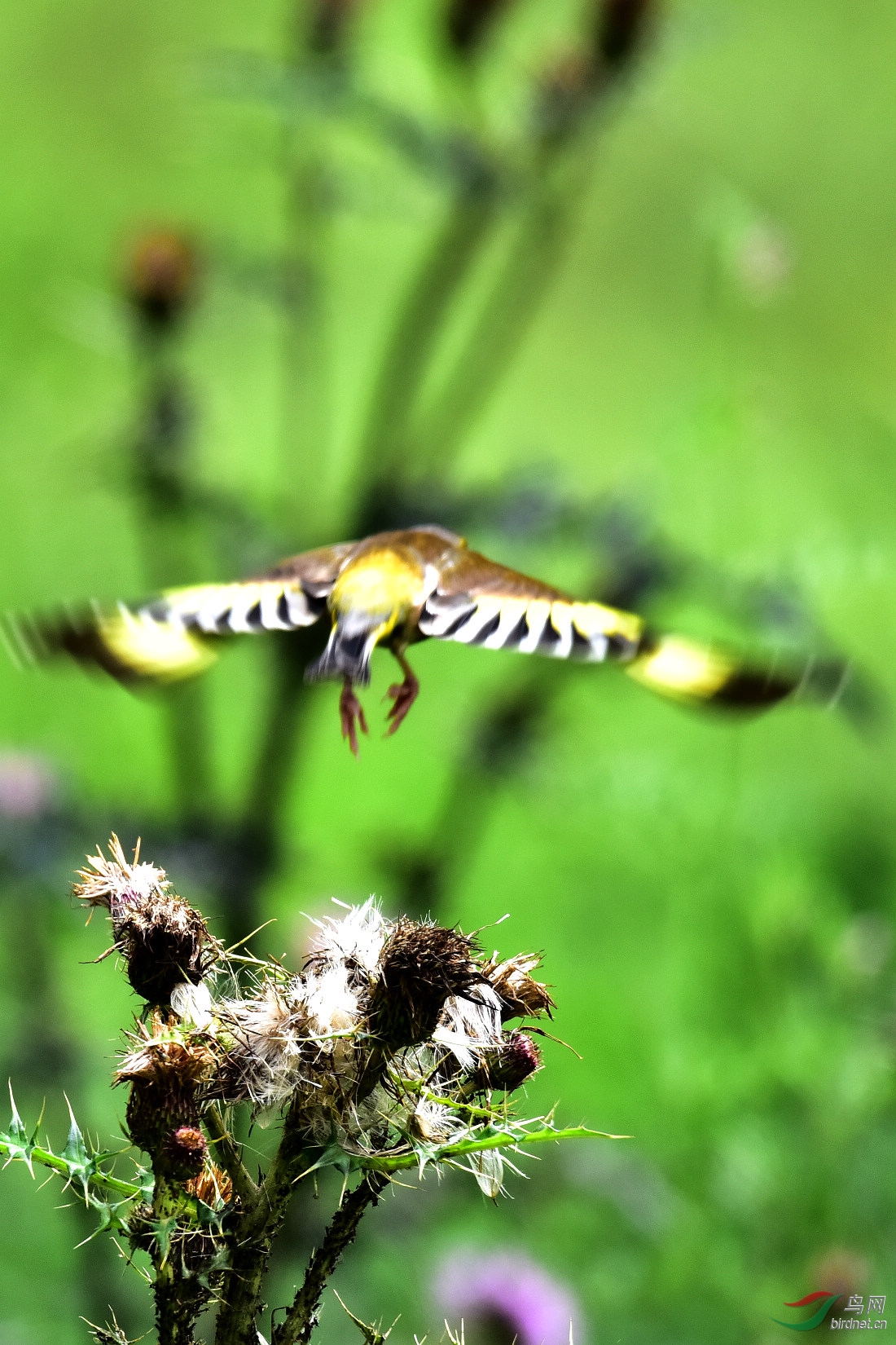 DSC_0586.JPG