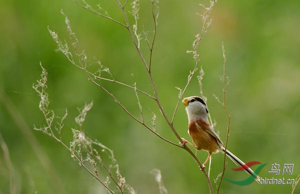 16DSC_3700_����.jpg