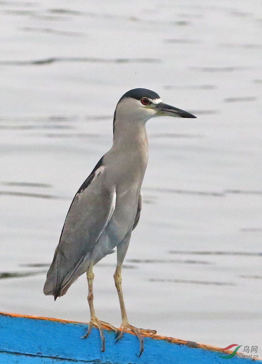 3����³��