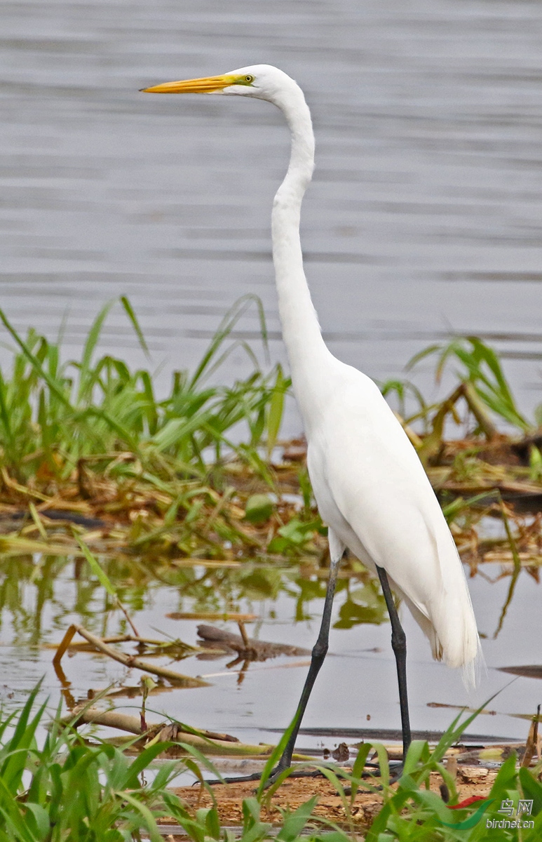 2��������