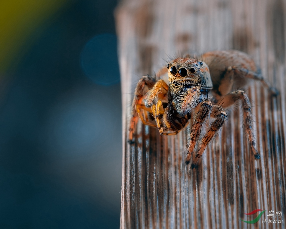 DSC00656_����.jpg