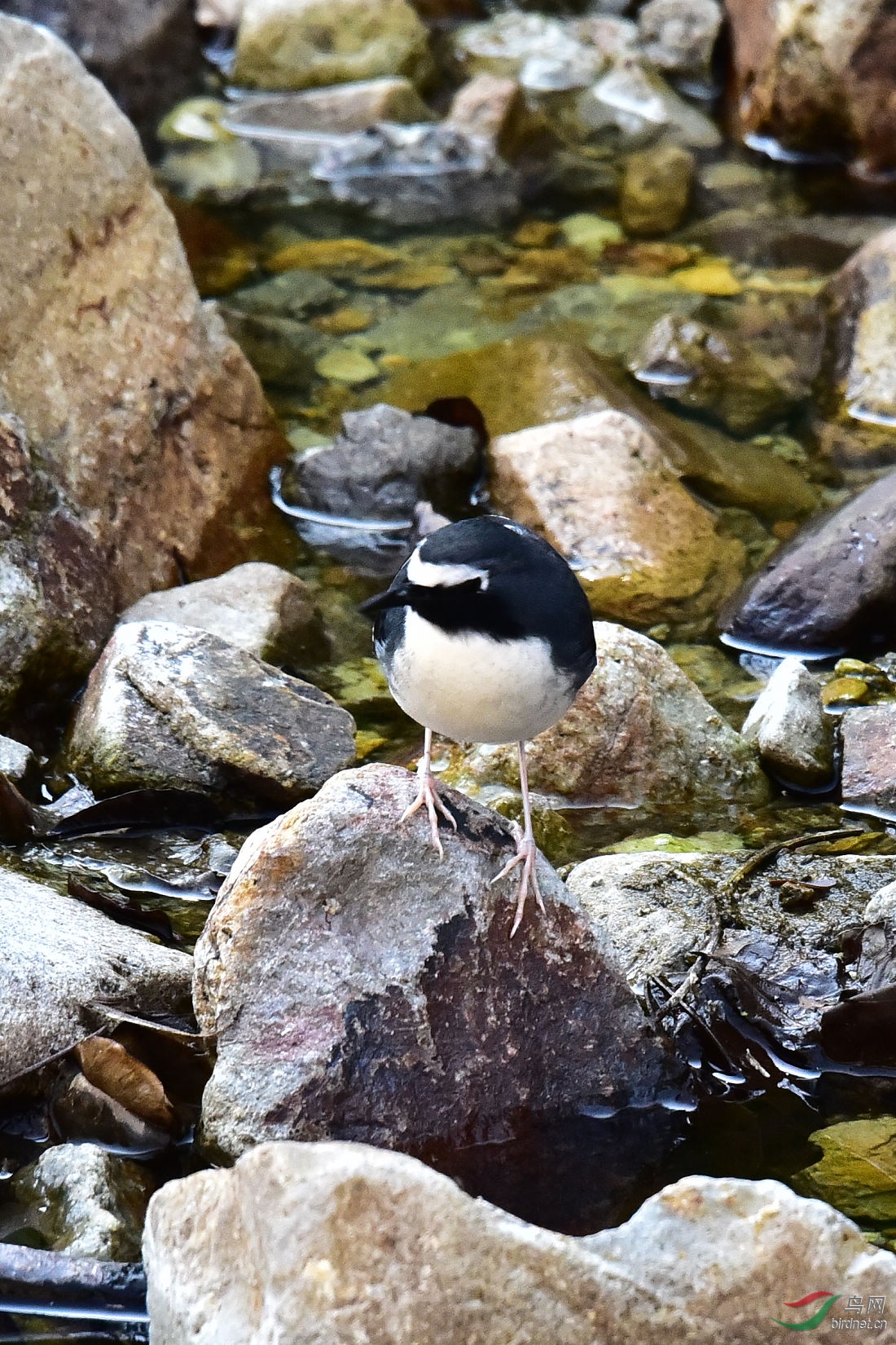 DSC_0588.JPG