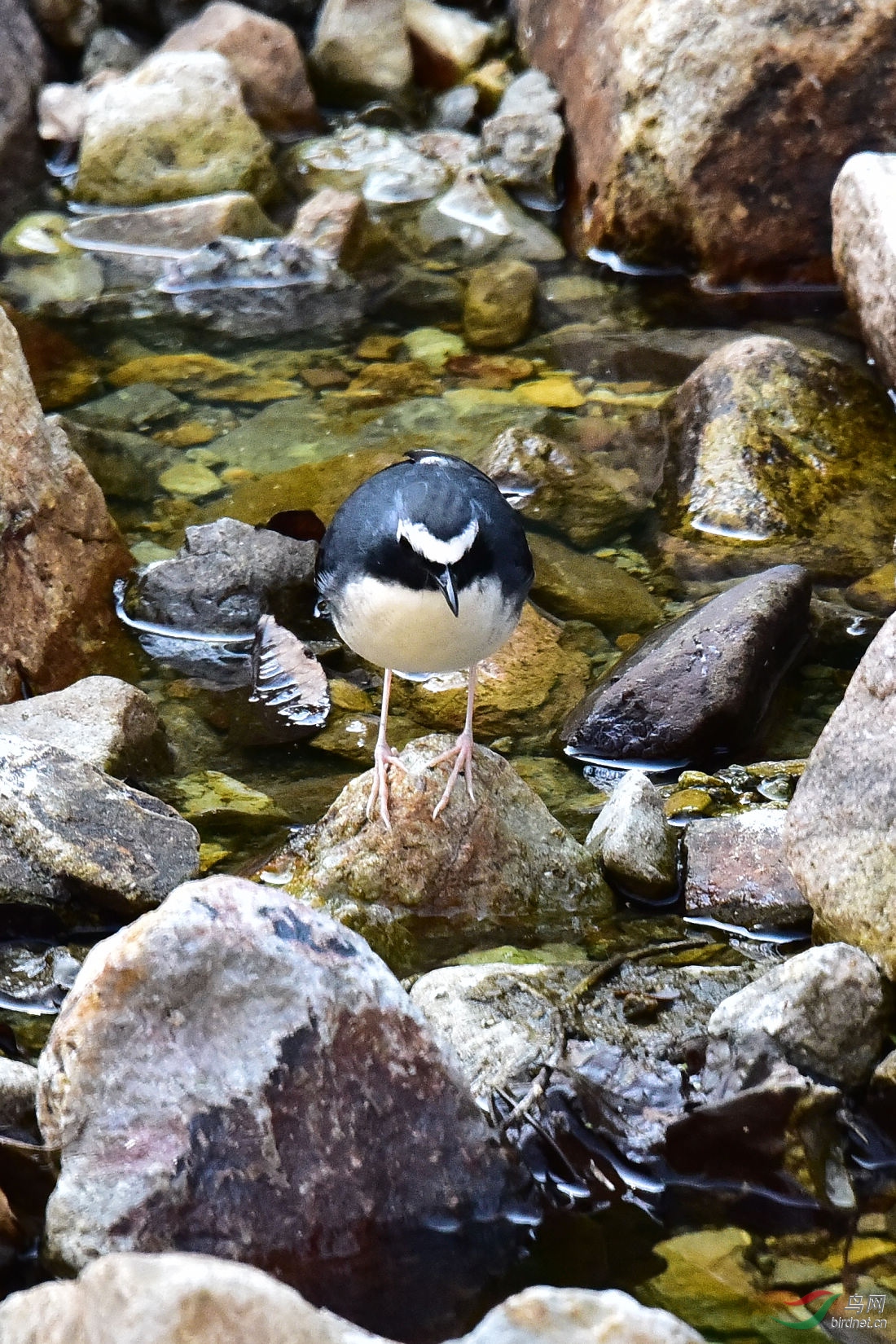 DSC_0587.JPG
