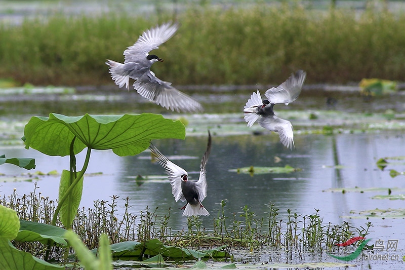 Ÿ����� (1).jpg