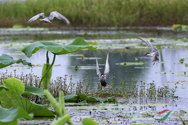 Ÿ����� (2).jpg