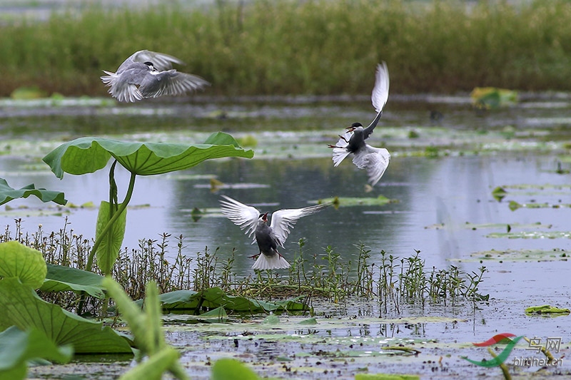 Ÿ����� (3).jpg