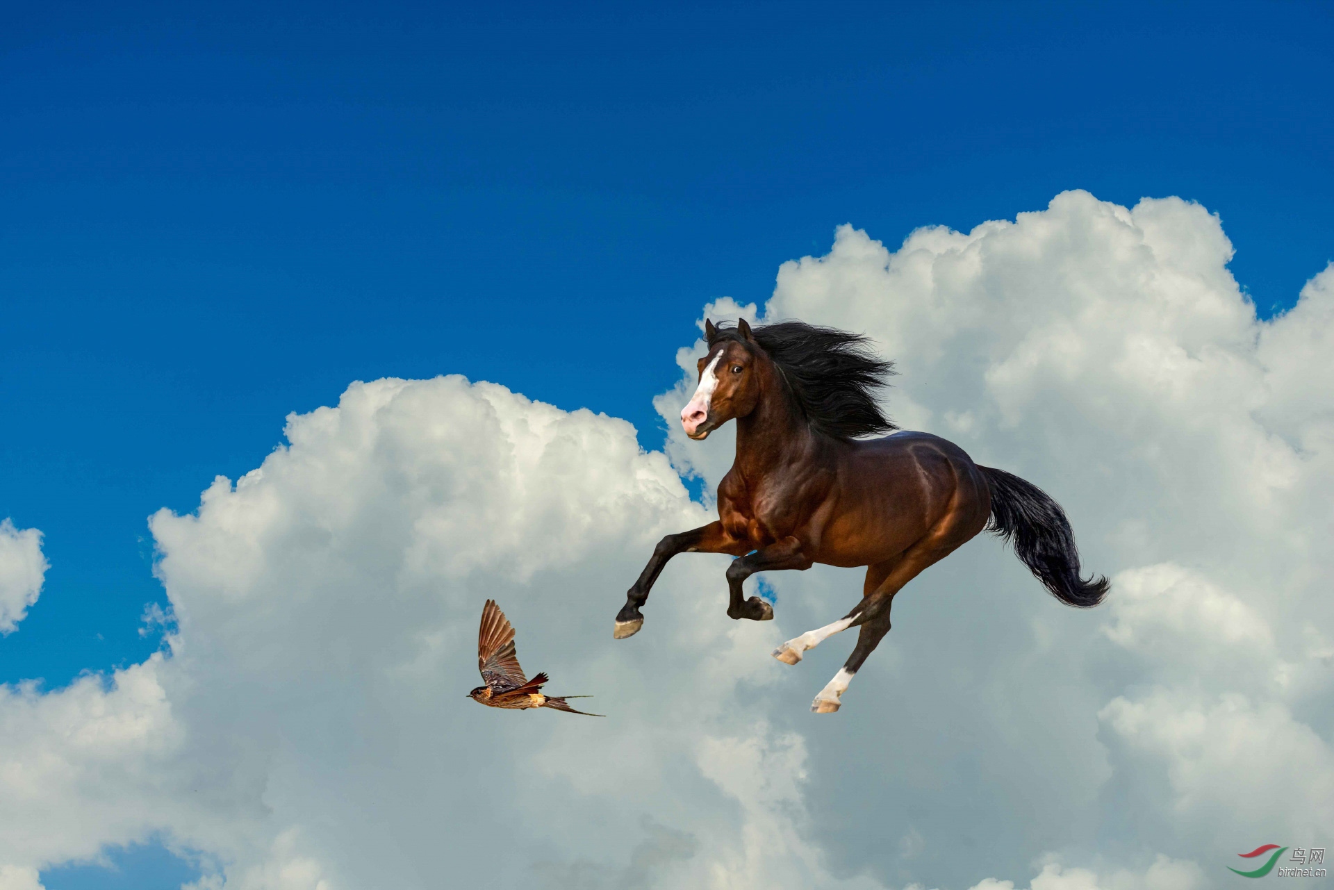 奔马踏燕 还差一步