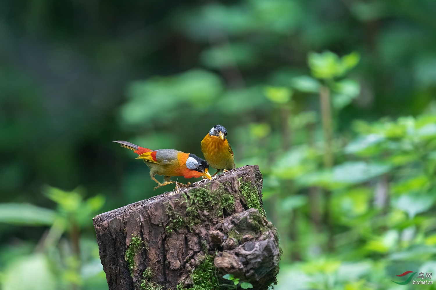 DSC_3699-2.jpg
